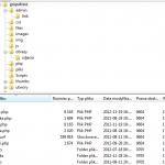 Drzewo plików wygenerowanej strony. Widać, że znajdują się tu tylko dane strony bez zbędnej logiki CMSa